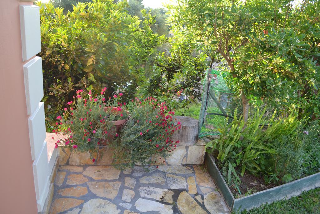 Theofilos Country House * Kompítsion